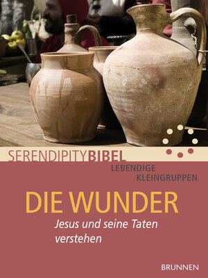 cover image of Die Wunder